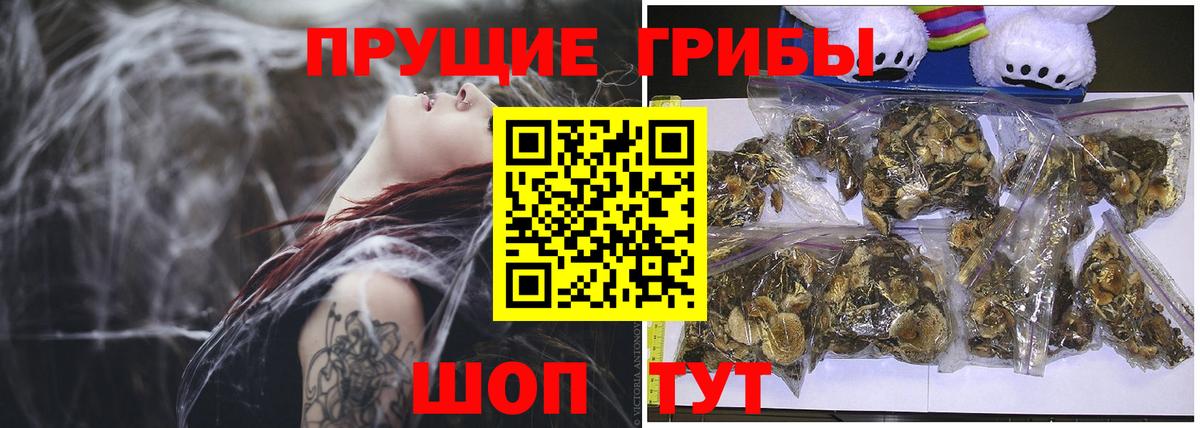 Галлюциногенные грибы Psilocybine cubensis  Вход с VPN  Хасавюрт 